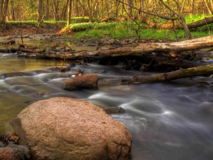 stream and woods