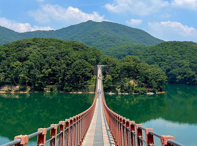 connected nonprofit systems / islands