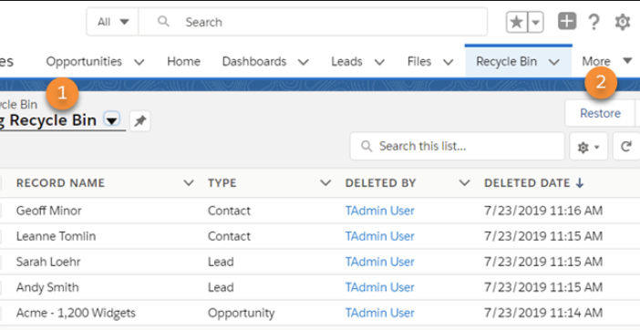 Salesforce Recycle Bin