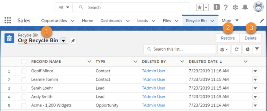 Salesforce Recycle Bin