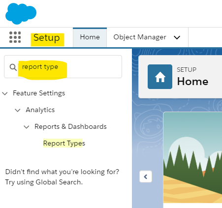 Salesforce Search Bar. Report Type. 
