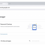 Large Password Manager
