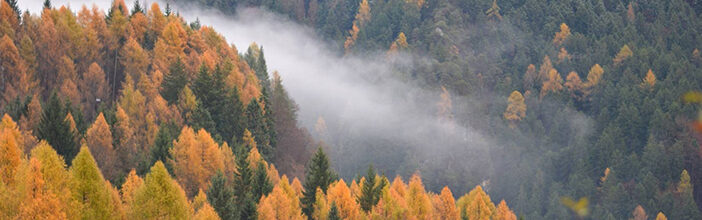 Guide for Land Trust Stewardship Directors Cover