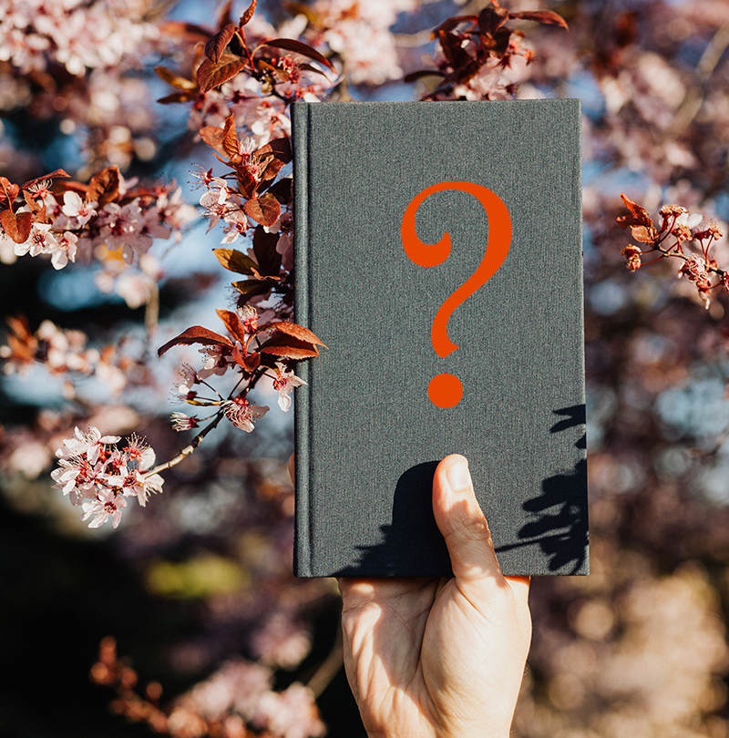 Nonprofit Story Mystery