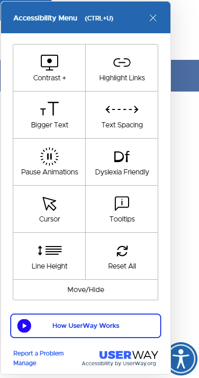 how accessible is your website