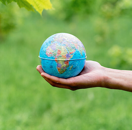 WordPress Ecosystem Globe in a Hand