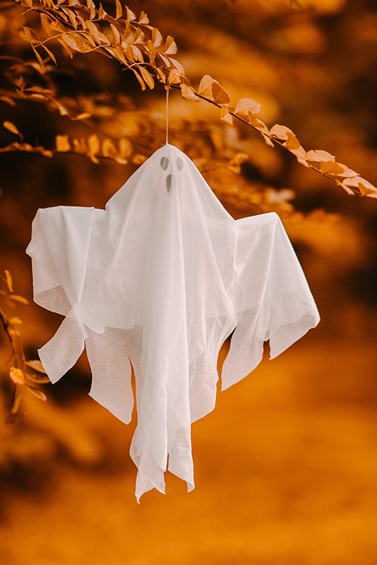 Scary Stories of Nonprofit Projects - Ghost Picture