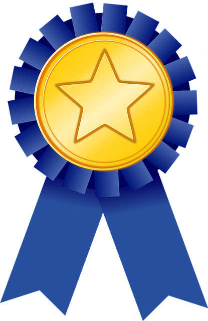 Blue Ribbon of Nonprofit Excellence