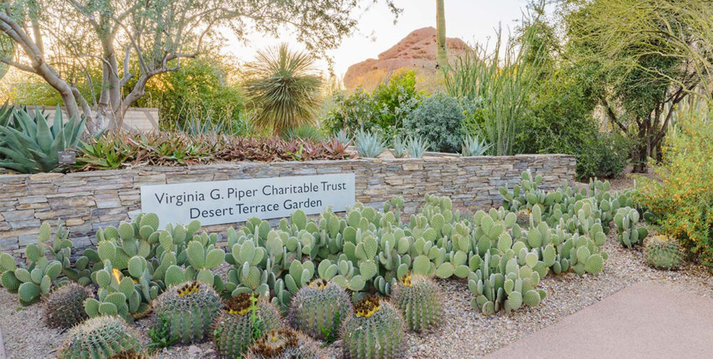 Desert Botanical Garden Featured Image