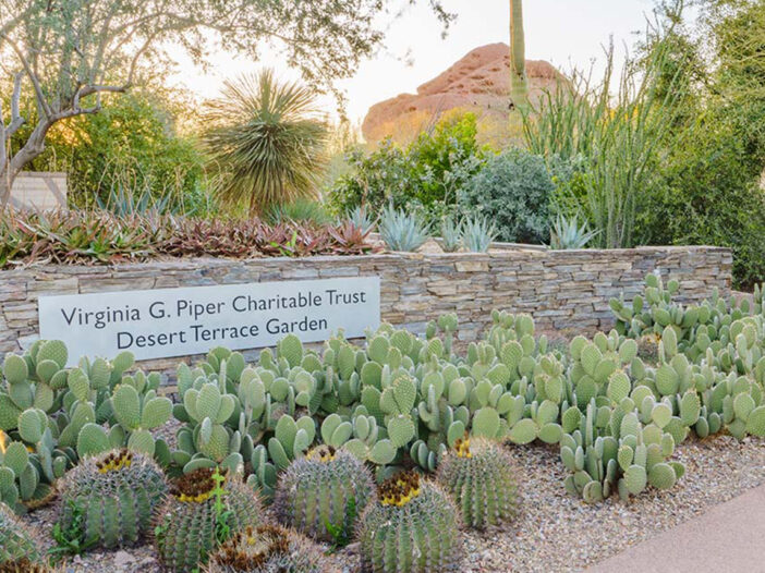 Desert Botanical Garden Featured Image