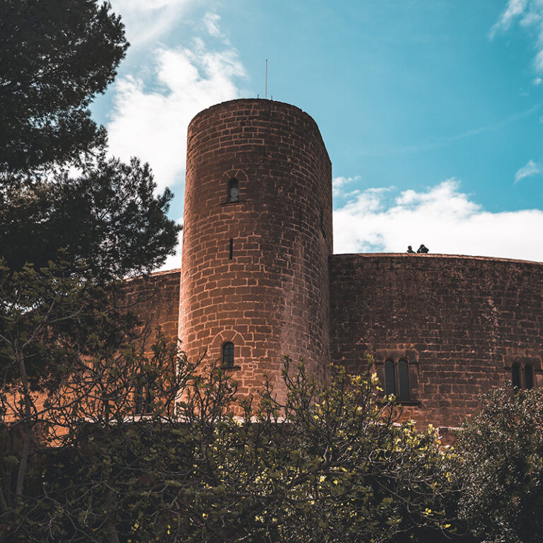 Nonprofit System Backup Fortress Wall